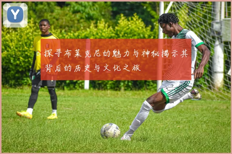 探寻布莱克尼的魅力与神秘揭示其背后的历史与文化之旅