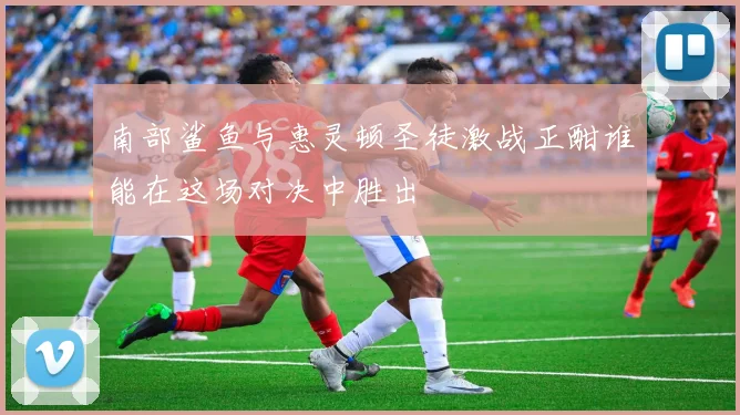 南部鲨鱼与惠灵顿圣徒激战正酣谁能在这场对决中胜出