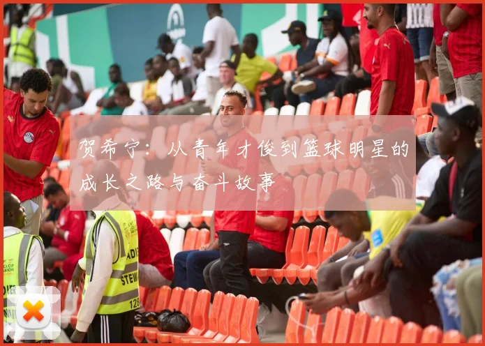 贺希宁：从青年才俊到篮球明星的成长之路与奋斗故事
