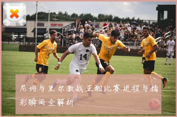 尼姆与里尔激战正酣比赛进程与精彩瞬间全解析