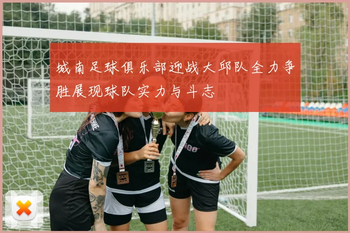城南足球俱乐部迎战大邱队全力争胜展现球队实力与斗志