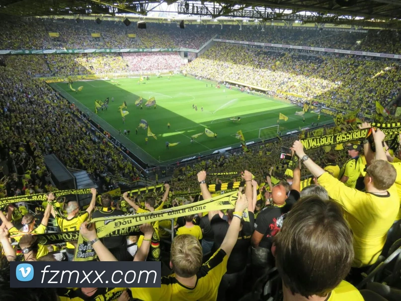 米兰体育平台生态图